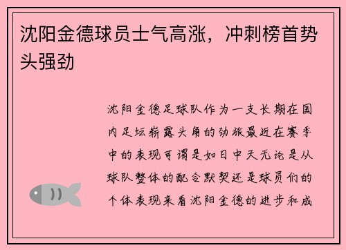 沈阳金德球员士气高涨，冲刺榜首势头强劲