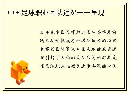 中国足球职业团队近况一一呈现