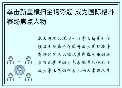 拳击新星横扫全场夺冠 成为国际格斗赛场焦点人物